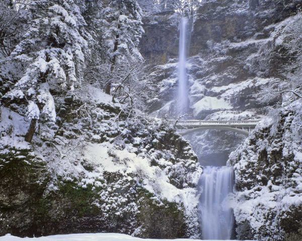 OR, Columbia Gorge Winter at Multnomah Falls